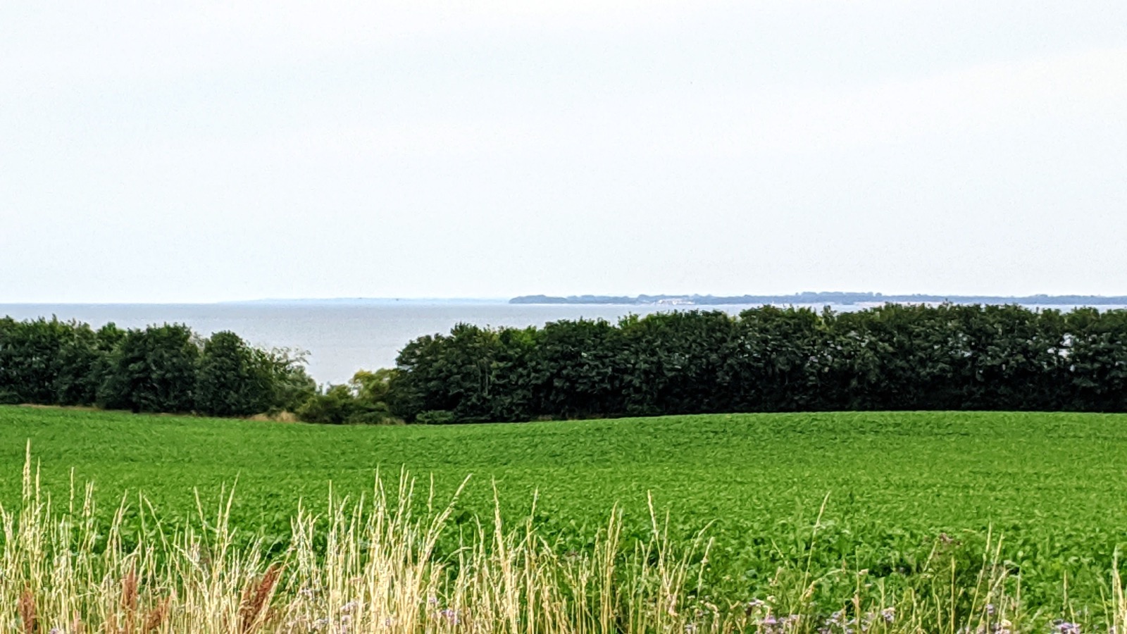 DDR-Gruppe an der UWWKUS